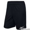 Kraťasy Nike Park II M - 725887-010