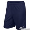 Kraťasy Nike Park II M - 725887-410