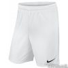 Kraťasy Nike Park II M - 725887-100