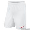 Kraťasy Nike Park II M - 725887-102