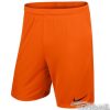 Kraťasy Nike Park II M - 725903-815