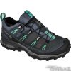 Obuv Salomon X Ultra LTR GTX W - L39040300