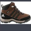 Obuv Adidas CW Winter Hiker MID GTX - S80825